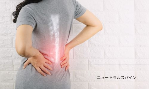ニュートラルスパインのイメージ