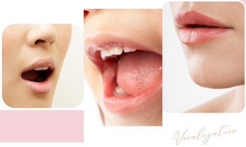 口元を大きく動かして表情を戻す習慣のイメージ